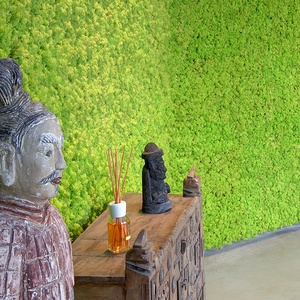 Stabilized walls